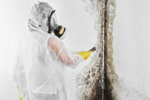 Best Crawl Space Mold Removal  in Broadmoor, CA