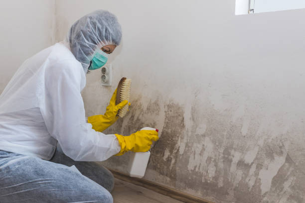 Water Damage Restoration in Broadmoor, CA