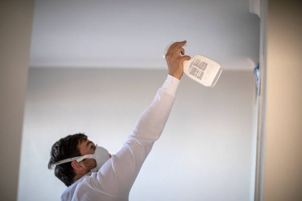 Best Office Mold Removal Services  in Broadmoor, CA