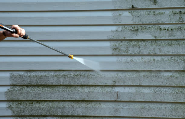 Attic Mold Removal in Broadmoor, CA