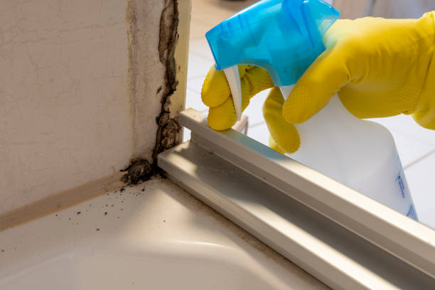 Best Residential Mold Removal  in Broadmoor, CA
