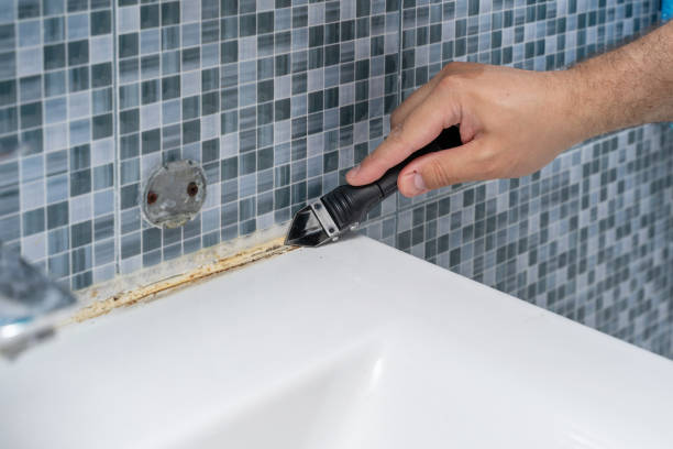 Best Toxic Mold Removal  in Broadmoor, CA
