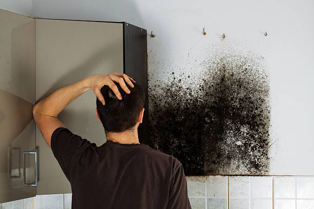 Best Same-Day Mold Removal  in Broadmoor, CA