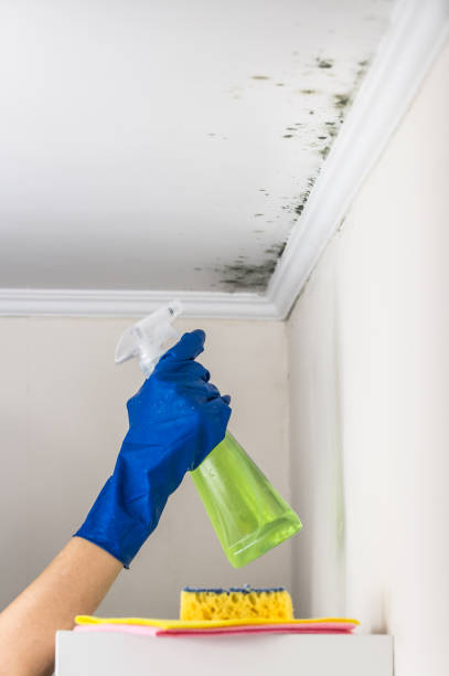 Best Mold Cleaning Services  in Broadmoor, CA